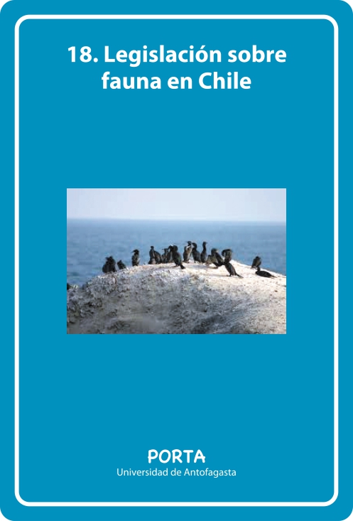 Portada Frontal
